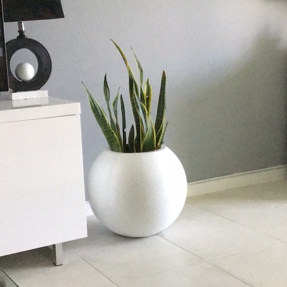 Meet your Posher, Beverly - Picture 1 of 1